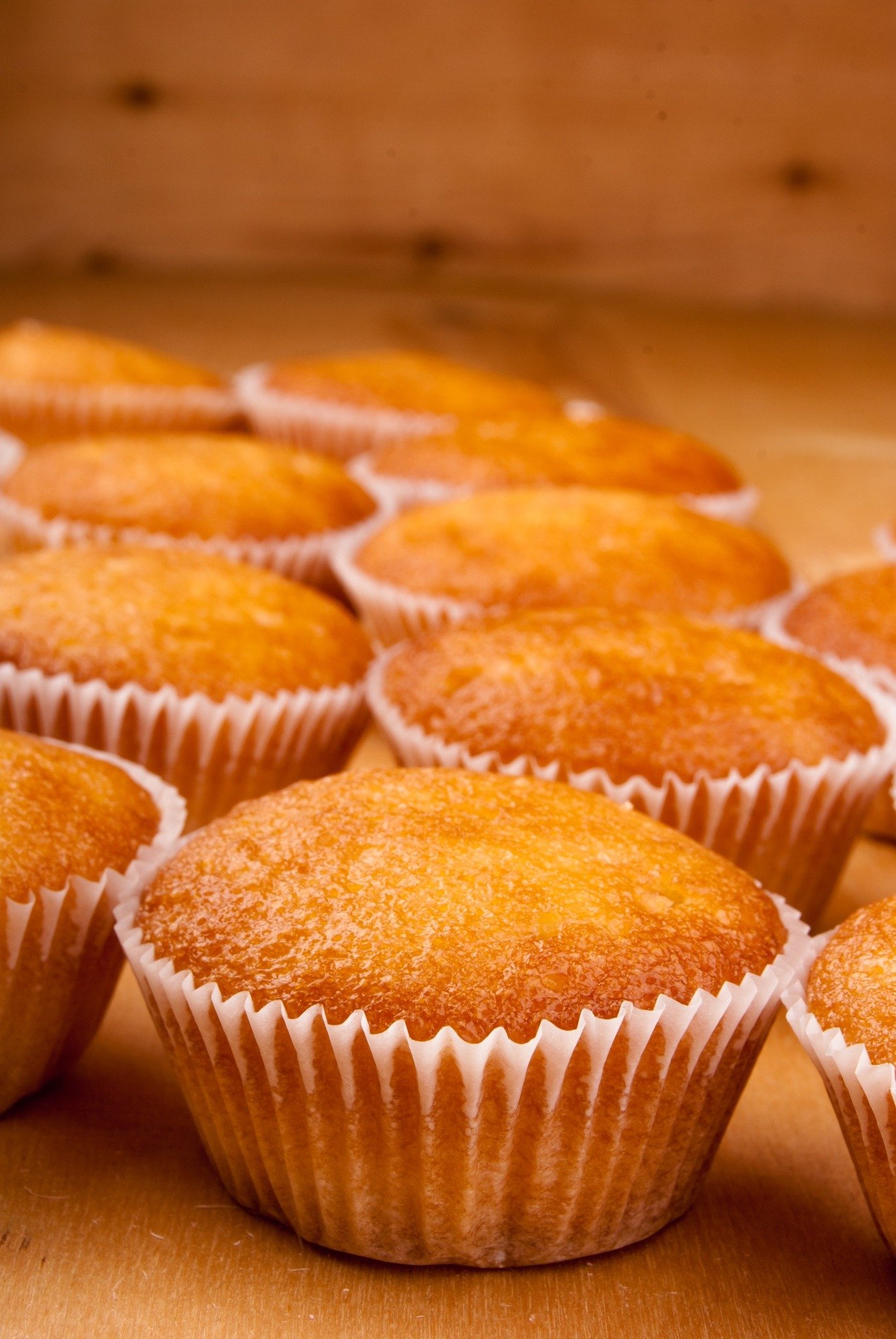 458702133_1064674251691973_8715609228136857059_n