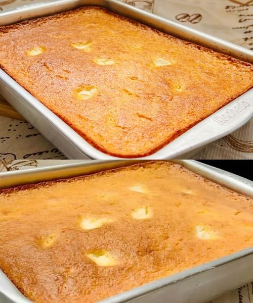 460624954_449250534803083_4902407731215463961_n