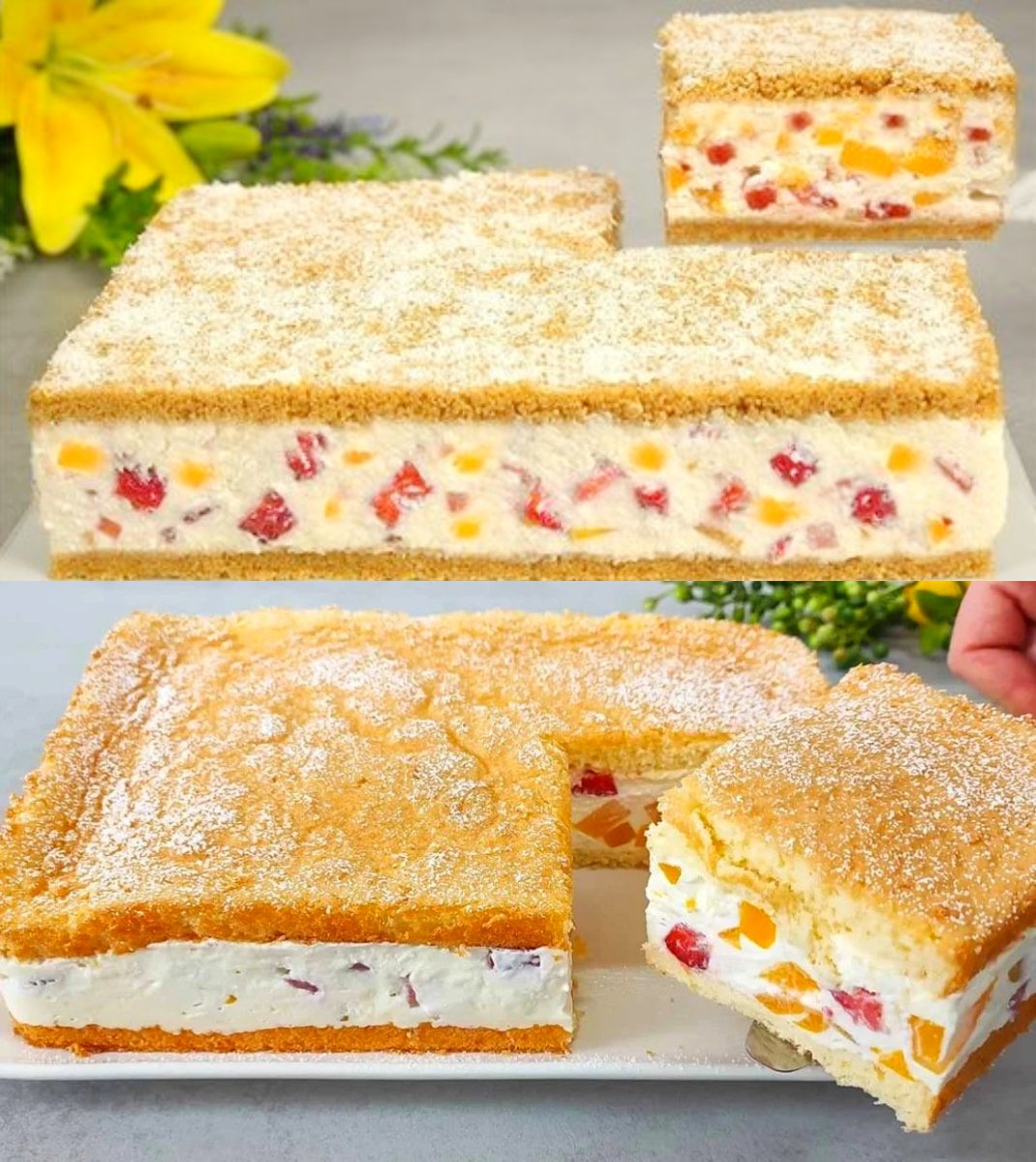 460635565_449897551405048_2305241556311334951_n