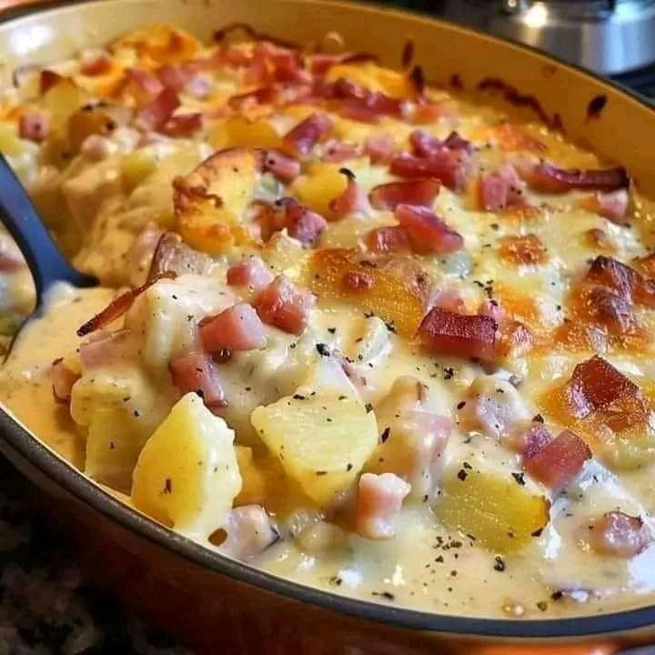 464261068_537933792519073_4640288691486268106_n