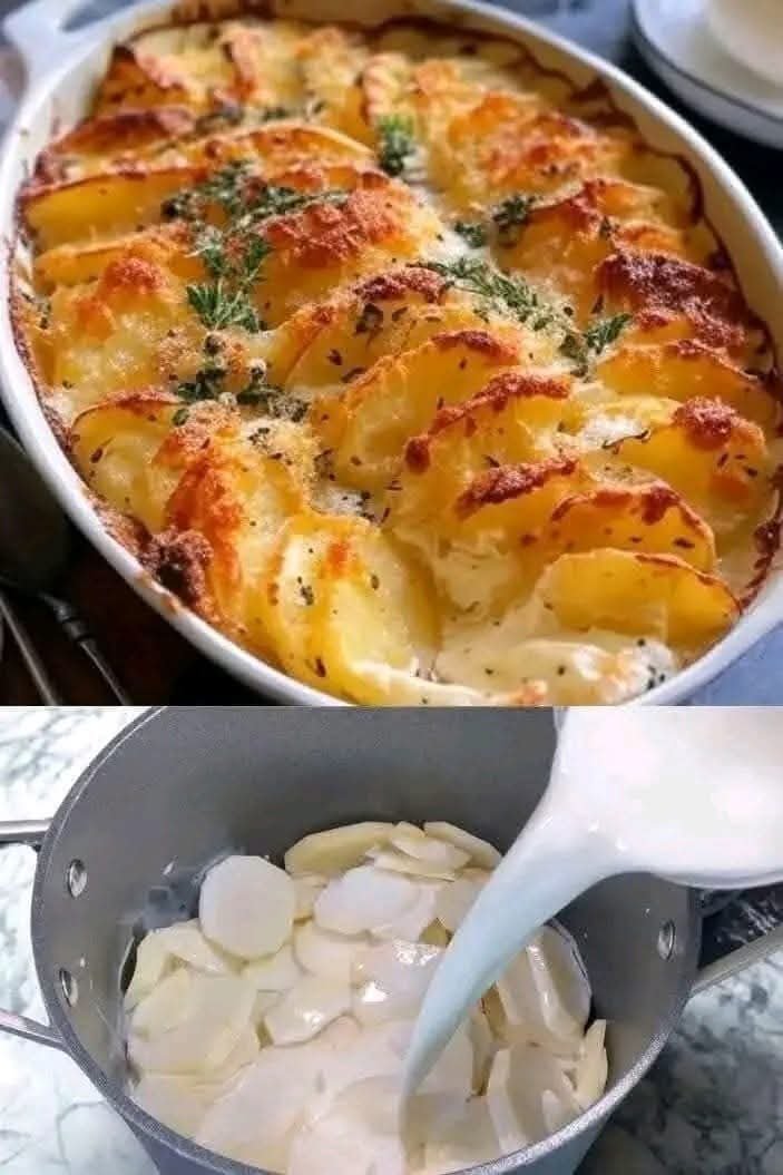 Gratin Dauphinois The Ultra FB_IMG_1765202312507