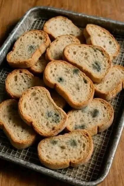 Golden Savory Stale-Bread Bake IMG-20251208-WA0038