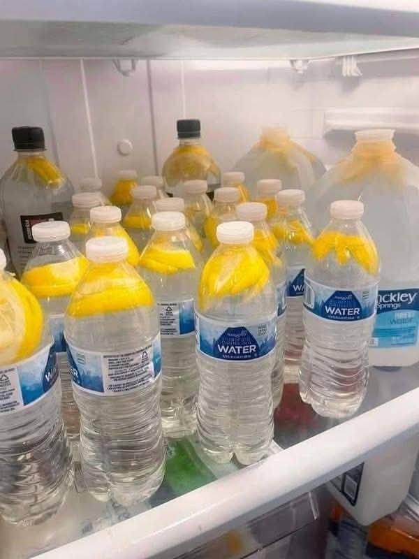 Ginger Water The Healthy IMG-20251223-WA0003