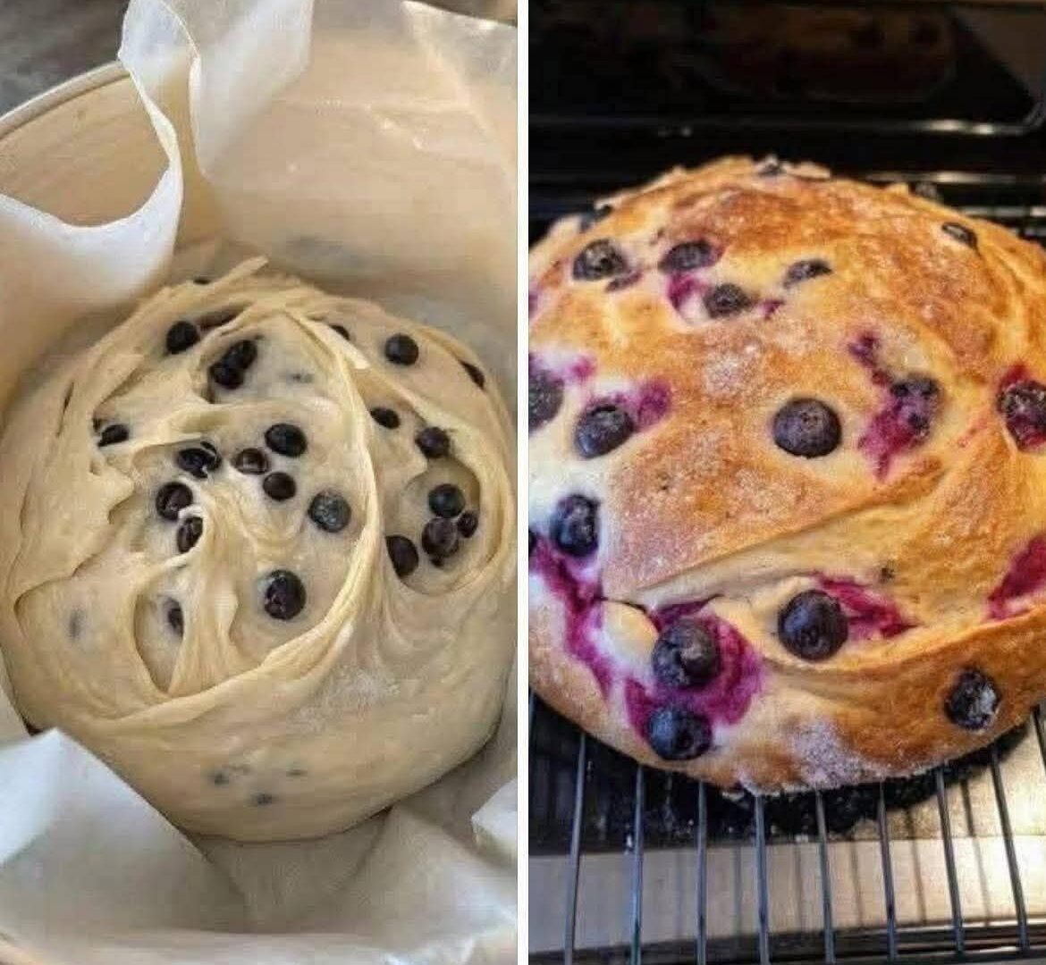 IMG-20251227-WA0019(1)